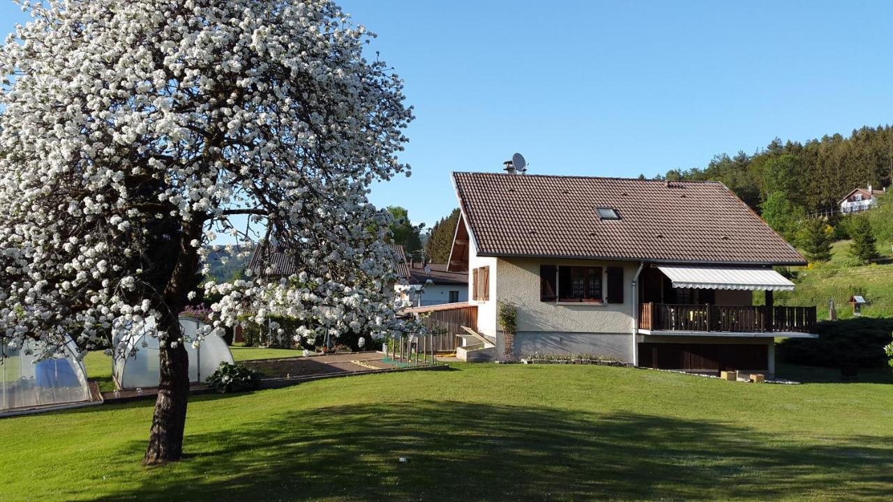 Apartamento Les Jumeaux Granges-sur-Vologne Exterior foto