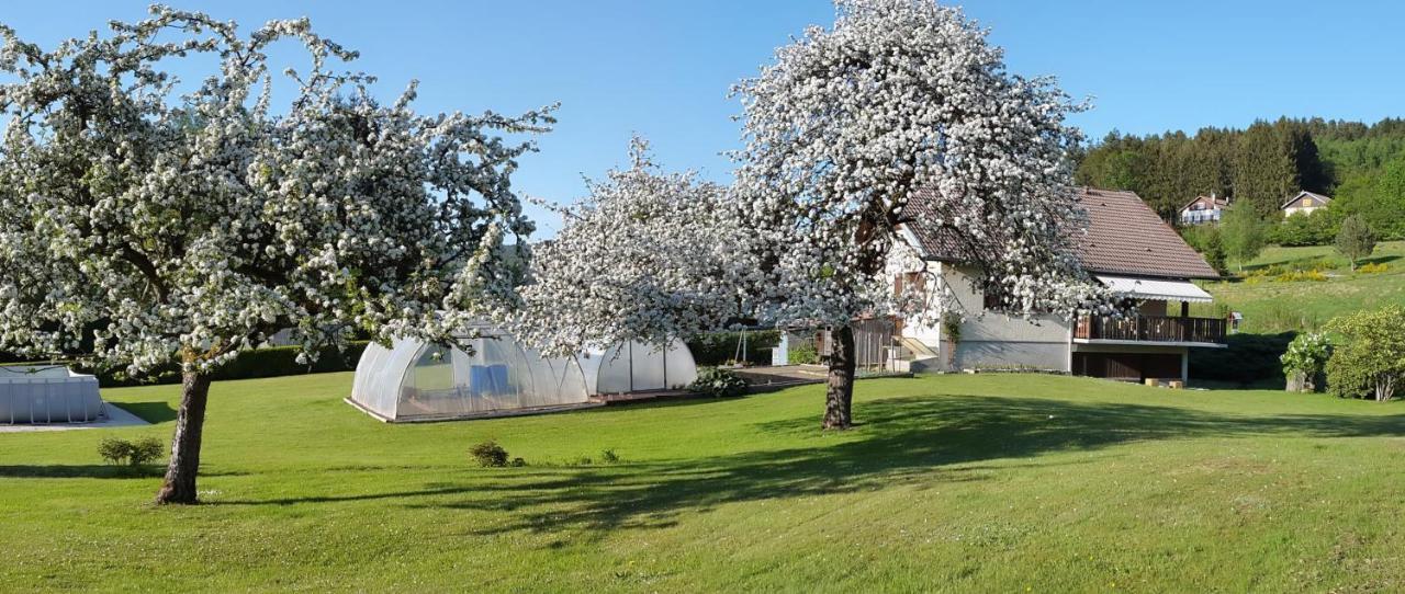 Apartamento Les Jumeaux Granges-sur-Vologne Exterior foto